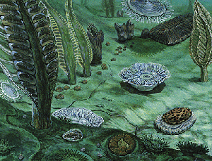 precambrian.gif